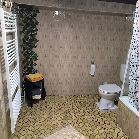 Apartment Viktoria Ehrlich